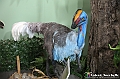 VBS_1021 - Dinosauri. Terra dei giganti